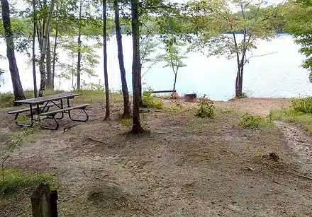 Camping Experiences in Ontario